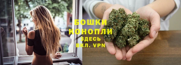 крисы Белоозёрский