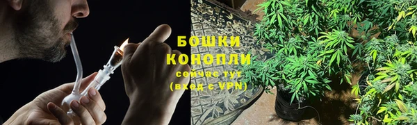 крисы Белоозёрский