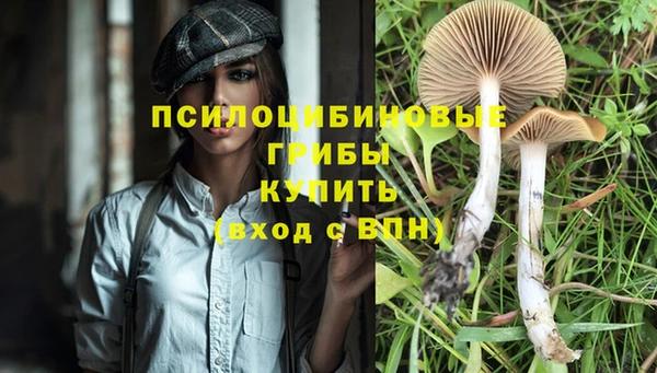 альфа пвп Беломорск